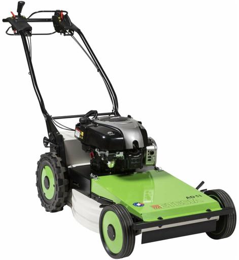 Etesia